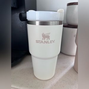 Stanley 20oz tumbler